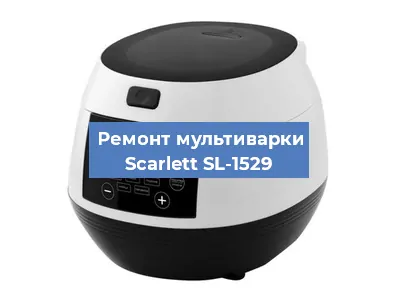 Замена ТЭНа на мультиварке Scarlett SL-1529 в Воронеже